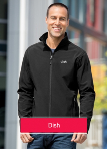 Dish